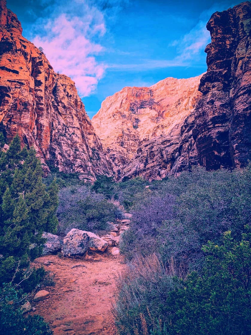 An image of the Ice Box Canyon trail