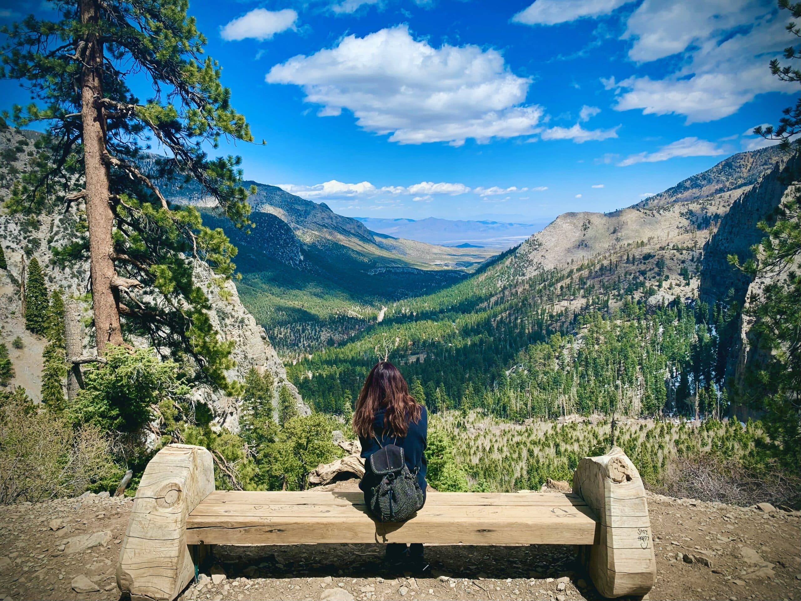 A person sitting on a bench overlooking a valley