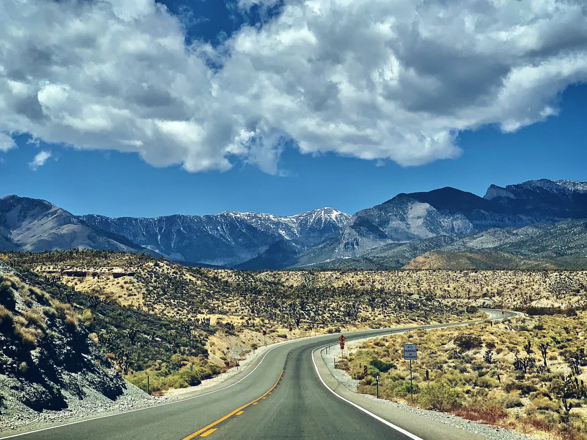 The road to Mt. Charleston